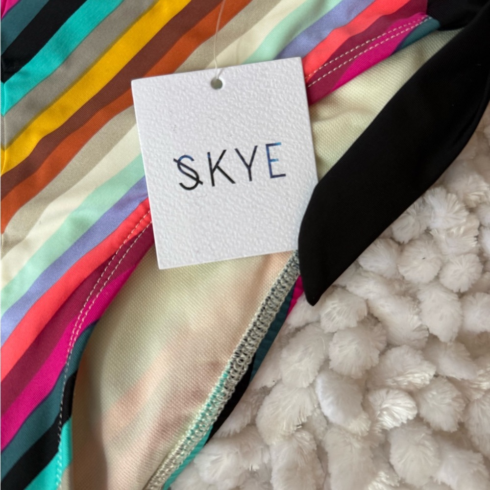 Sky Multicolor Striped Bikini Bottom - image 4